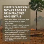 Decreto 12.189/2024: Novas Regras para Infrações Ambientais